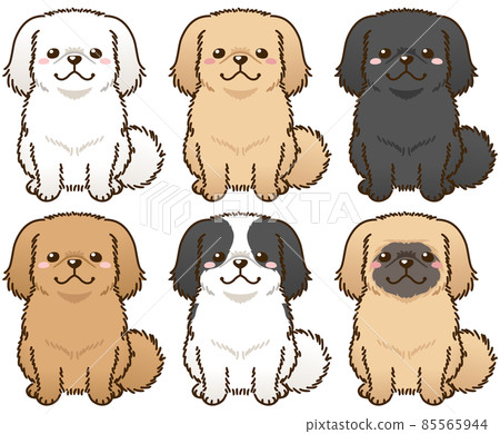 ペキニーズ書籍4冊セット 本 洋書 写真 pekingese PEKINGESE Pekingese dog chinese hi-res stock photography and images