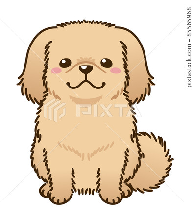 Pekingese (red) 85565968