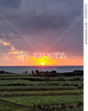 從那裡看到的日落 85566372