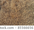 Winter lawn 85566656