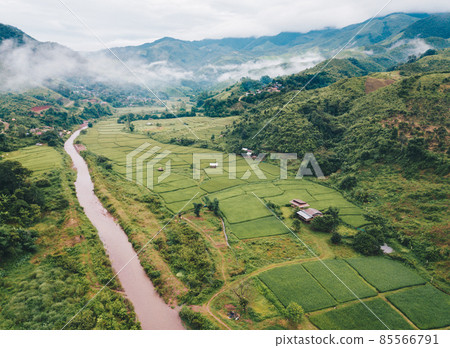 Beautiful aerial view of Wah river runs through rice paddy field in Sapan village of Nan province of Thailand in rainy season. Thailand has a strong tradition of rice production. 85566791