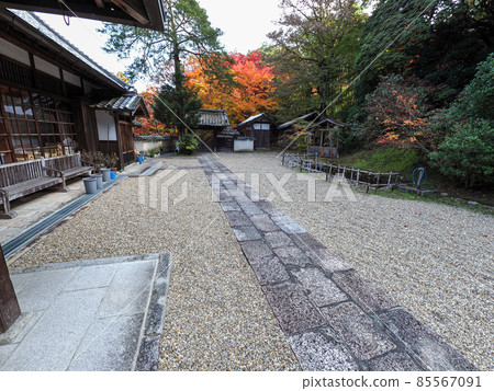 河內長野地藏寺一座小寺廟的紅秋葉 85567091