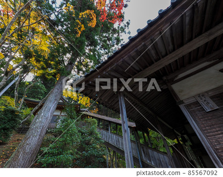 河內長野地藏寺一座小寺廟的紅秋葉 河內長野地藏寺一座小寺廟的紅秋葉 85567092