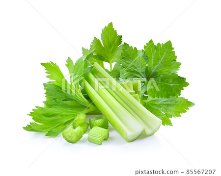 Fresh celery isolated on white background 85567207