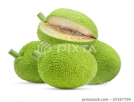 breadfruit on white background breadfruit on white background 85567709