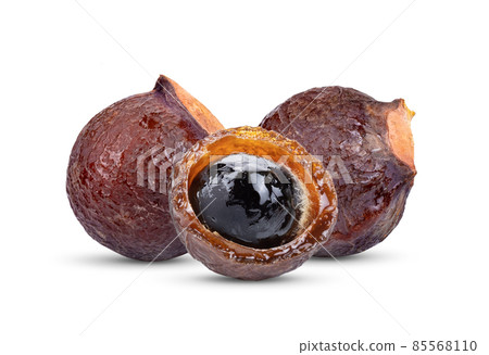 Soap nut tree isolated on white 85568110