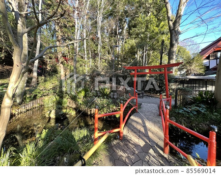 100 famous waters in Japan, 57 famous waters in Tokyo, a true pond on the hawk road 100 famous waters in Japan, 57 famous waters in Tokyo, a true pond on the hawk road 85569014