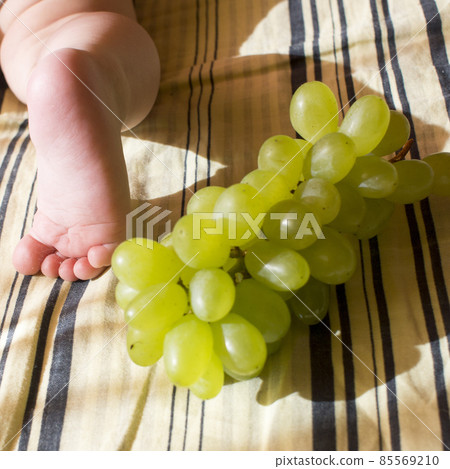 a child plays with a grape a child plays with a grape 85569210