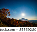富士山和陽光明媚的秋天 富士山和陽光明媚的秋天 85569280