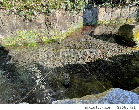 100 selections of famous water in Japan Otaka no Michi 85569451