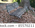 Deciduous leaves in the park and old wooden benches 85570211