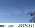 A pattern that forms a straight line in the blue sky Clouds and trees 85570212