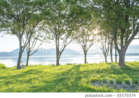 Lakeside morning walk through the trees (around Togo Pond) 85570374