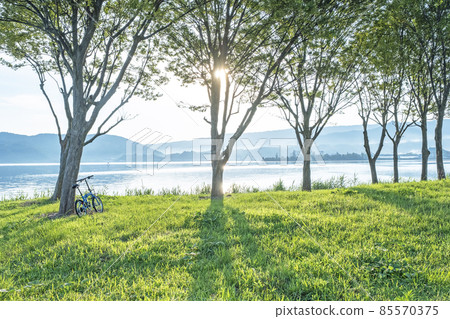 Lakeside morning walk through the trees (around Togo Pond) 85570375