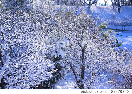 下雪的早晨場景 85570850