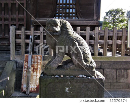 吉祥寺虎 85570874