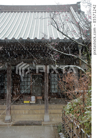 Snowy Shojoji Temple (Kisarazu City) 85571242