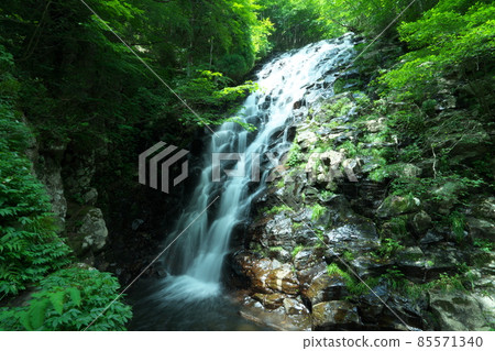 Scenery of Nuno Falls in midsummer 2 Aba, Tsuyama City, Okayama Prefecture Scenery of Nuno Falls in midsummer 2 Aba, Tsuyama City, Okayama Prefecture 85571340