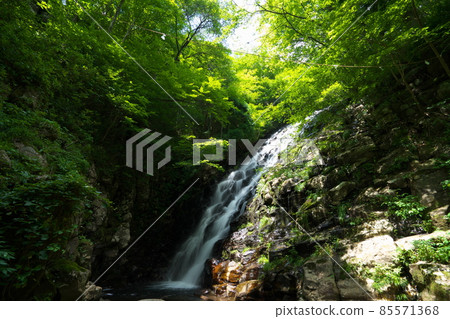 Scenery of Nuno Falls in midsummer 8 Aba, Tsuyama City, Okayama Prefecture 85571368