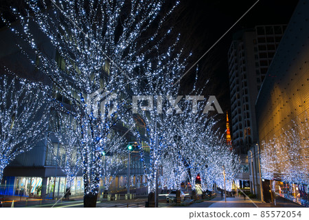 Illumination of Keyakizaka Illumination of Keyakizaka 85572054