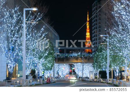 Illumination of Keyakizaka Illumination of Keyakizaka 85572055