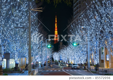 Illumination of Keyakizaka Illumination of Keyakizaka 85572056
