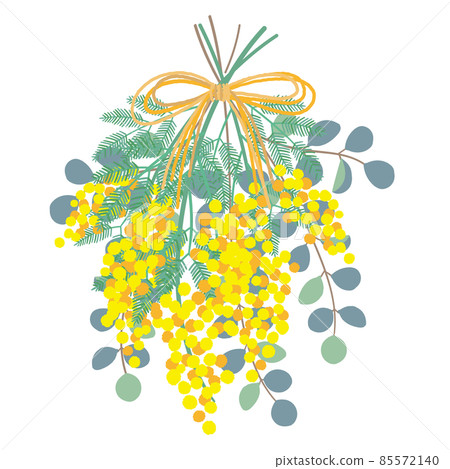 Illustration of natural mimosa and eucalyptus swag 85572140