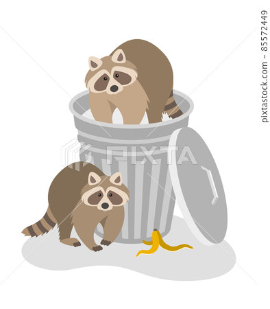 Raccoons steal household rubbish in a street trash can. Wildlife control and pest control services, raccoons removal. Flat cartoon illustration isolated on white. Wild animals create a mess of garbage 85572449