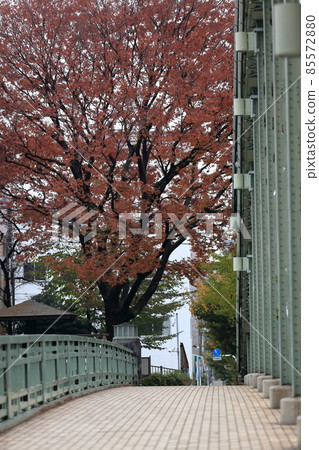 Mannen Bridge (Koto Ward) 85572880