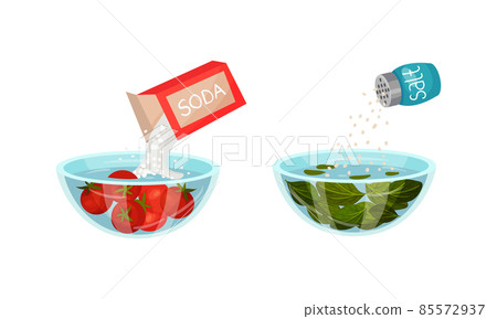 Salting Greenery and Pouring Soda in Bowl with Steeping Tomato as Vegetable Cooking Process Vector Set Salting Greenery and Pouring Soda in Bowl with Steeping Tomato as Vegetable Cooking Process Vector Set 85572937