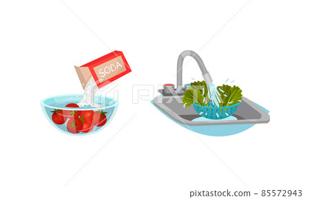 Washing Green Lettuce Leaf with Tap Water and Pouring Soda in Bowl with Tomato as Vegetable Cooking Process Vector Set Washing Green Lettuce Leaf with Tap Water and Pouring Soda in Bowl with Tomato as Vegetable Cooking Process Vector Set 85572943