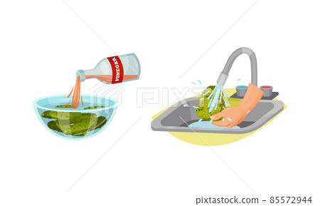 Washing Broccoli with Tap Water and Pouring Vinegar in Bowl with Greenery as Vegetable Cooking Process Vector Set Washing Broccoli with Tap Water and Pouring Vinegar in Bowl with Greenery as Vegetable Cooking Process Vector Set 85572944