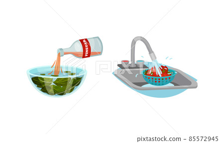Washing Tomato with Tap Water and Pouring Vinegar in Bowl with Greenery as Vegetable Cooking Process Vector Set. Washing Tomato with Tap Water and Pouring Vinegar in Bowl with Greenery as Vegetable Cooking Process Vector Set. 85572945