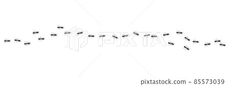 Ants colony marching in trail. Ant path isolated in white background. Vector illustration Ants colony marching in trail. Ant path isolated in white background. Vector illustration 85573039