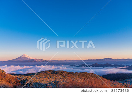 (Shizuoka Prefecture) Mt. Fuji seen from the Darumayama plateau where it snowed in the sea of clouds (Shizuoka Prefecture) Mt. Fuji seen from the Darumayama plateau where it snowed in the sea of clouds 85573486