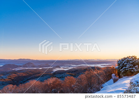 (Shizuoka Prefecture) Mt. Fuji seen from the Darumayama plateau where it snowed in the sea of clouds 85573487