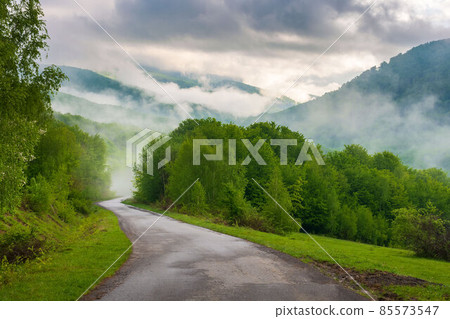 rural road in mountains. beautiful nature scenery on a foggy morning. trees on the meadow above the valley in mist beneath a sky with clouds 85573547