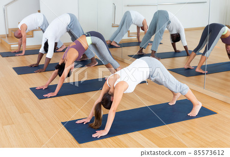 Fitness, sport and healthy lifestyle concept - woman doing yoga downward-facing dog pose on mat Fitness, sport and healthy lifestyle concept - woman doing yoga downward-facing dog pose on mat 85573612