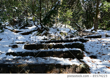 岐阜城金華山山徑和積雪 岐阜城金華山山徑和積雪 85574223