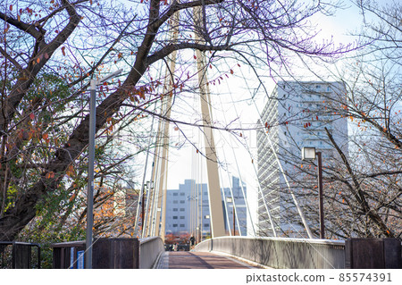 Kamome Bridge Kamome Bridge 85574391
