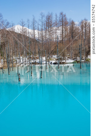 Spring blue pond with snow, Biei Town 85574742