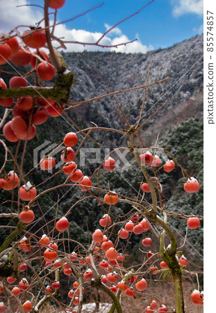 和歌山縣葛城町、和歌山縣伊東郡葛城町風景 和歌山縣葛城町、和歌山縣伊東郡葛城町風景 85574857