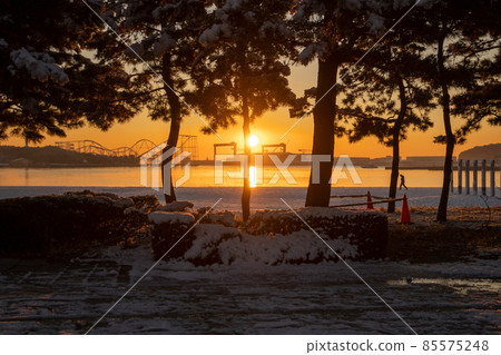 Marine park snow scene Marine park snow scene 85575248