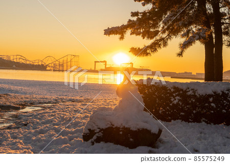 Marine park snow scene Marine park snow scene 85575249