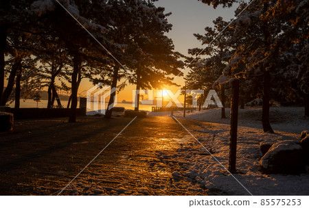 Marine park snow scene Marine park snow scene 85575253