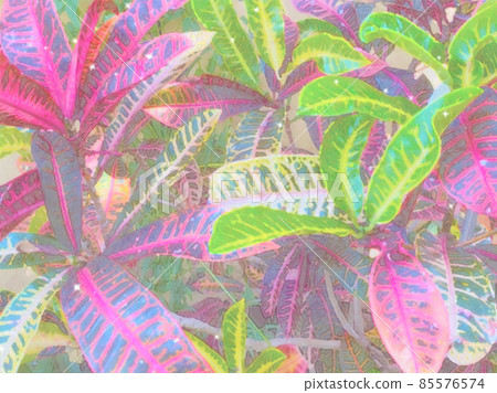 觀葉植物圖案、熱帶植物背景素材 85576574