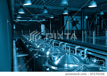 Industrial interior of modern craft brewery with chrome cylindrical metal beer tanks. Private microbrewery. 85576588