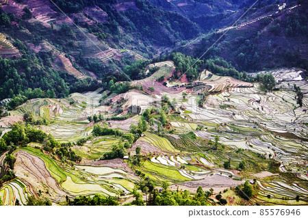 Terraced rice fields wiyh water on Spring season Terraced rice fields wiyh water on Spring season 85576946