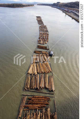 Logs pulled by a tugboat on Fraser River. Logs pulled by a tugboat on Fraser River. 85577207