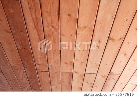 Wood 85577619